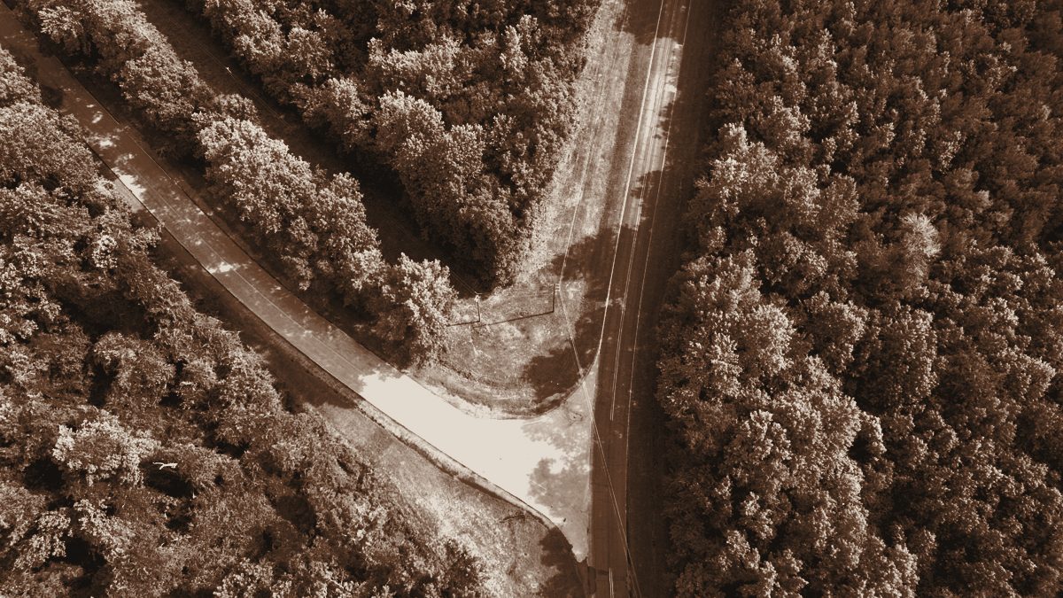 Aerial view of a road forking through forest
